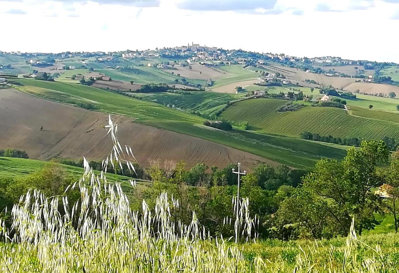 Вілла La Collina Dei Cavalieri Belvedere Ostrense Екстер'єр фото