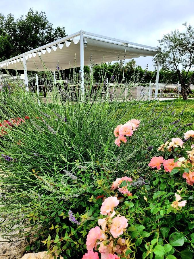 Вілла La Collina Dei Cavalieri Belvedere Ostrense Екстер'єр фото