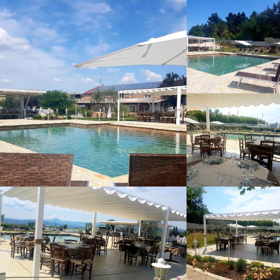 Вілла La Collina Dei Cavalieri Belvedere Ostrense Екстер'єр фото