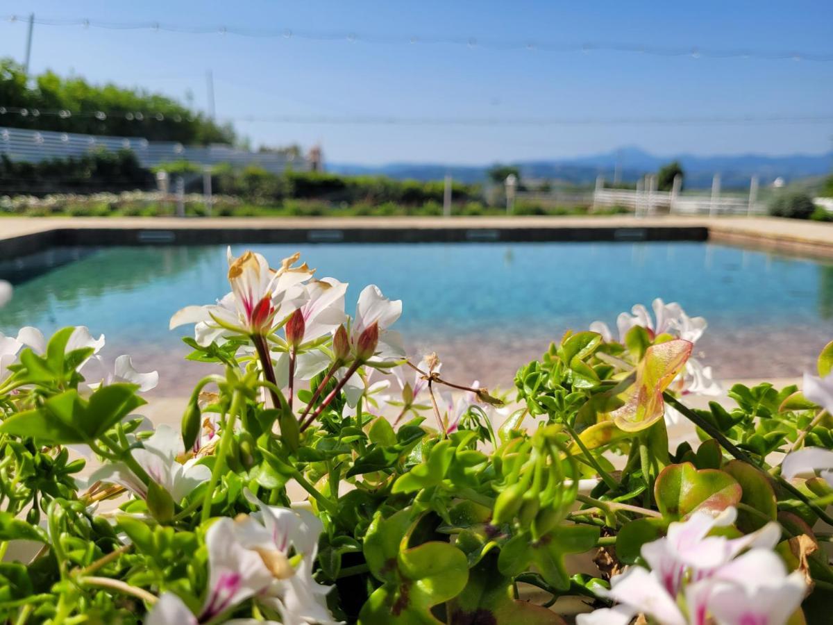 Вілла La Collina Dei Cavalieri Belvedere Ostrense Екстер'єр фото