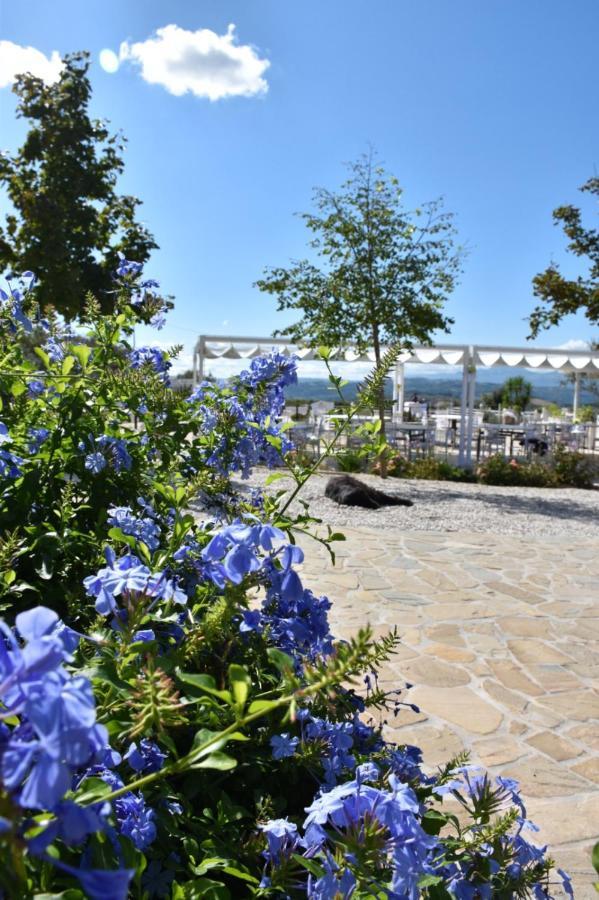 Вілла La Collina Dei Cavalieri Belvedere Ostrense Екстер'єр фото