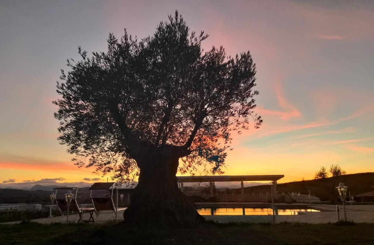 Вілла La Collina Dei Cavalieri Belvedere Ostrense Екстер'єр фото